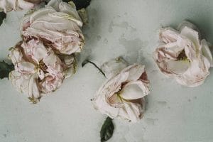 Ein Strauß rosa Rosen auf einer grauen Oberfläche.