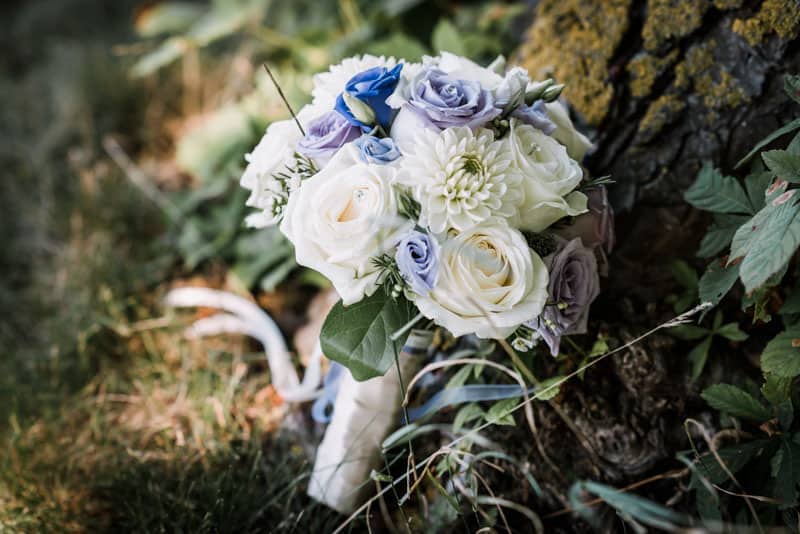 Ein Strauß weißer und blauer Blumen sitzt auf einem Baumstumpf.