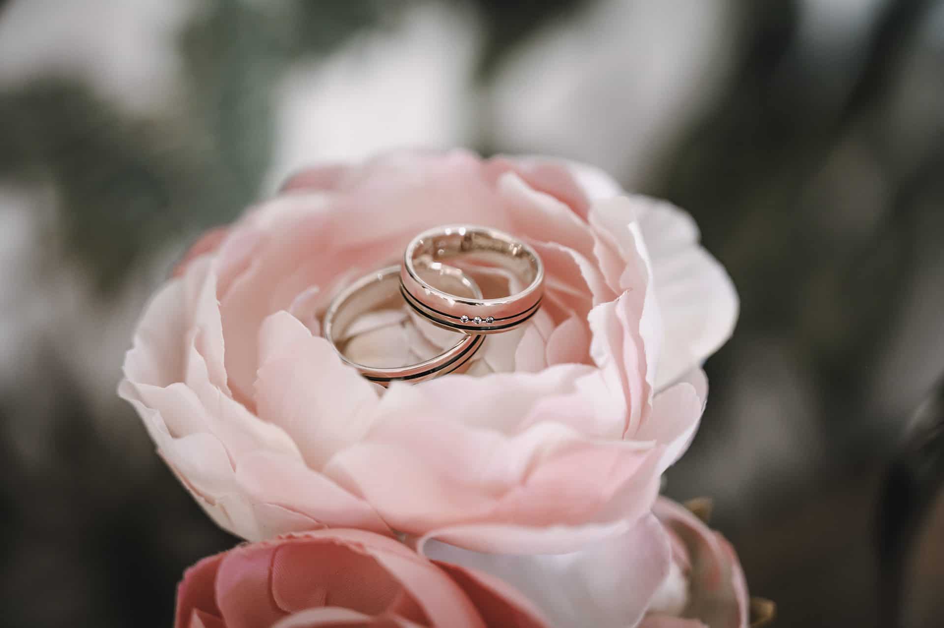 Zwei Eheringe auf einer rosa Blume.