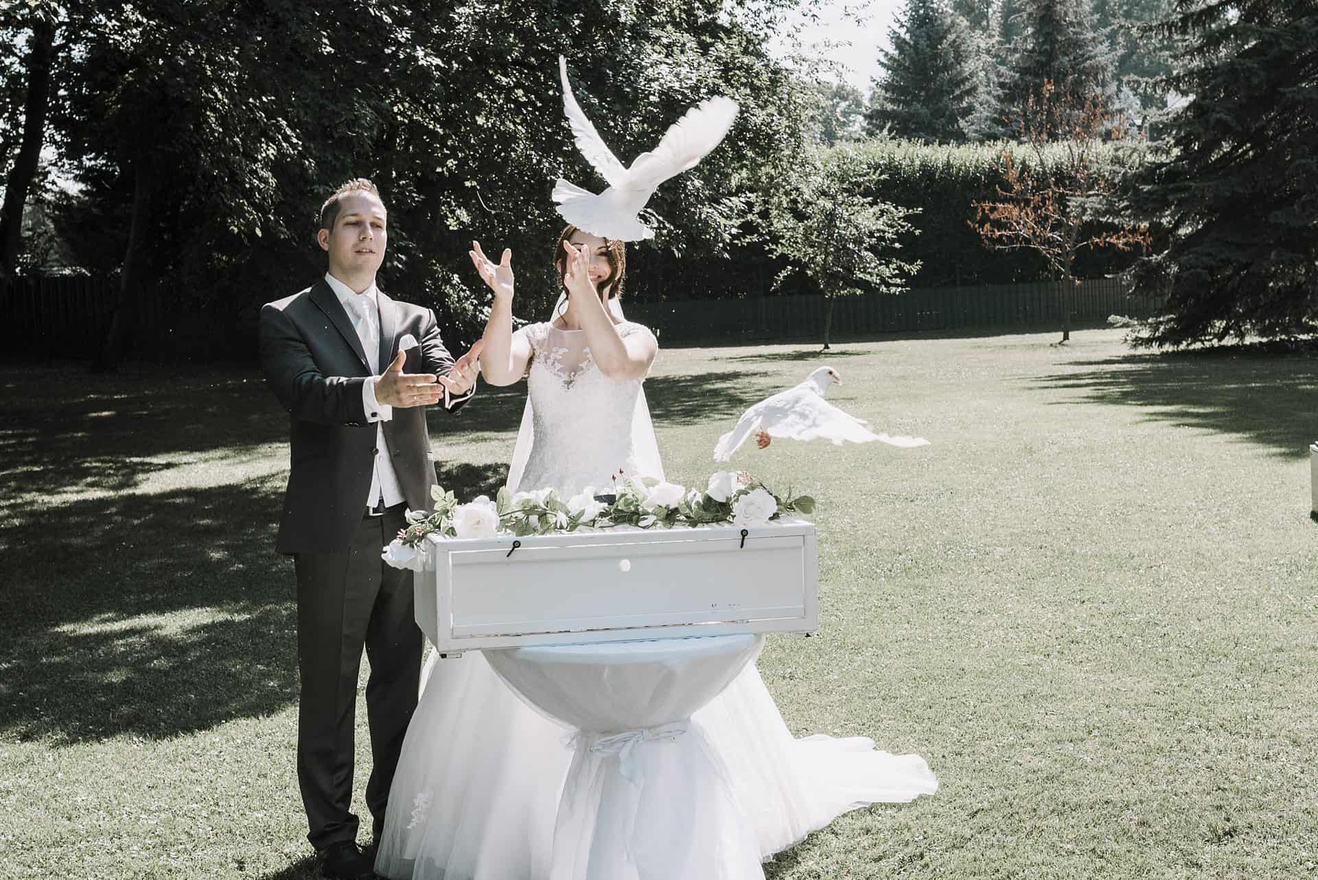 Ein Brautpaar hält eine weiße Taube in ihren Händen.