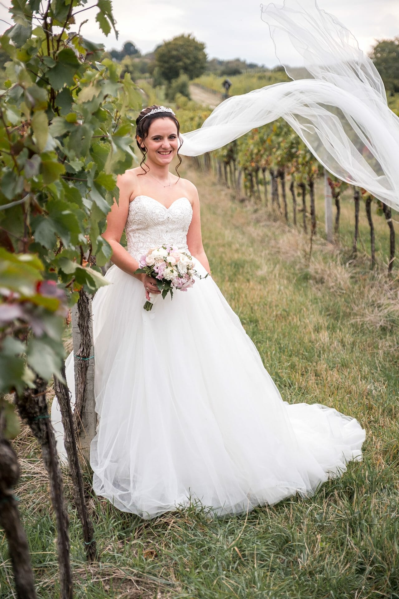 Eine Braut posiert mit ihrem Schleier in einem Weinberg.