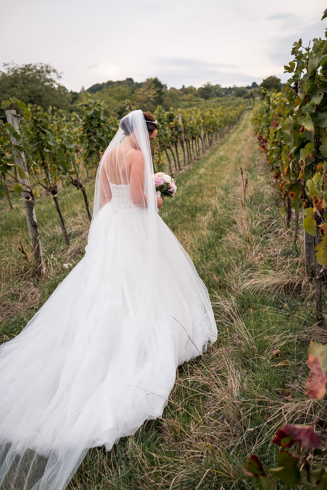 Eine Braut geht in ihrem Hochzeitskleid durch einen Weinberg.